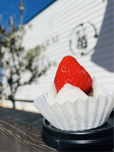 HIGASHIDA　FARM　STRAWBERRY
