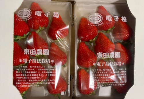HIGASHIDA　FARM　STRAWBERRY