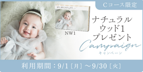 9月限定☆Cコースが超お得