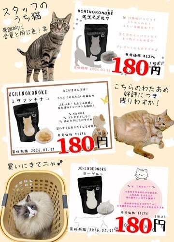 かわいい猫ちゃんの毛をモチーフにしたわたあめが数量限定で登場です！