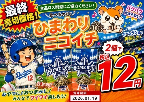 ひまわりの種②