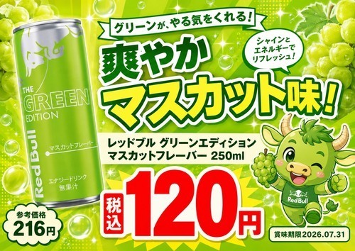 暑い夏をレッドブルで乗り切れ！涼しいマスカット味🍇